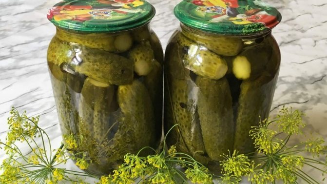 What happens if you pickle bitter cucumbers and is it possible to preserve them?