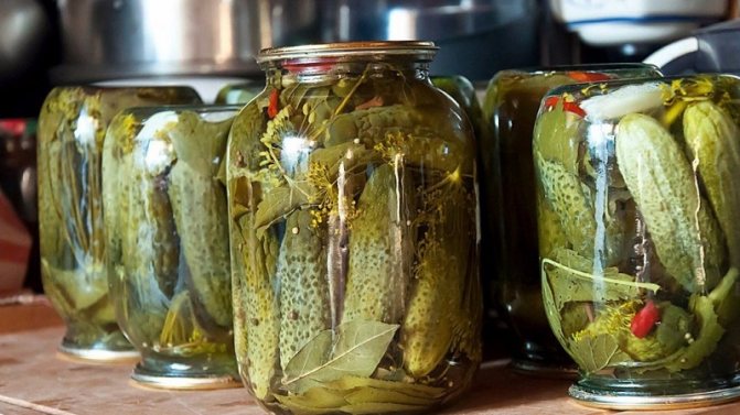 What happens if you pickle bitter cucumbers and is it possible to preserve them?