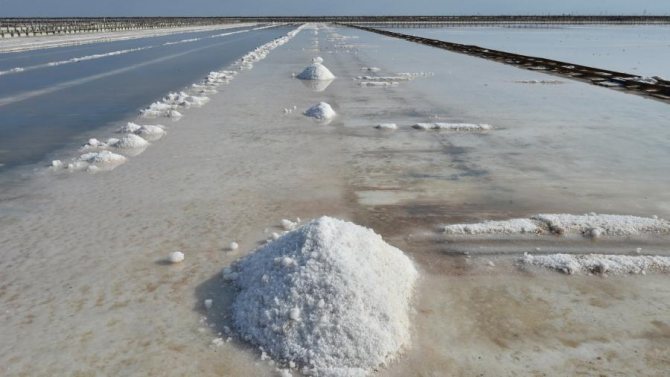 Добыча соли на озере Сасык-Сиваш, Евпатория