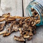 Хранение сушеных грибов: способы и продолжительность.