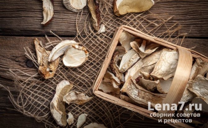 Хранение сушеных грибов: важные рекомендации