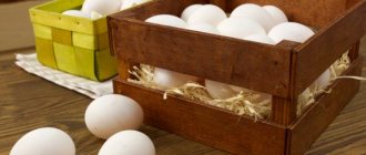 Как хранить куриные яйца правильно