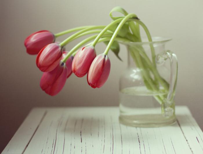 как хранить срезанные тюльпаны дома