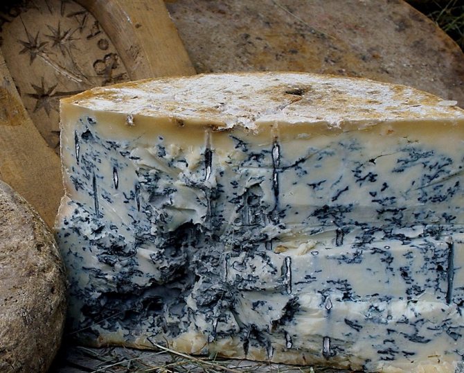 Как хранить сыр с плесенью в холодильнике