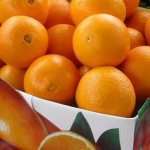 Как правильно хранить апельсины в квартире