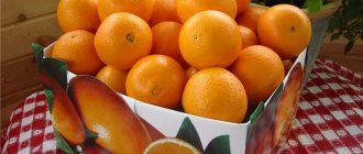 Как правильно хранить апельсины в квартире