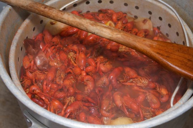 how to properly cook crayfish in milk