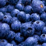 how to keep blueberries fresh
