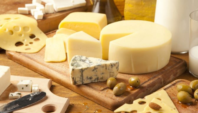 Как сохранить надолго сыр