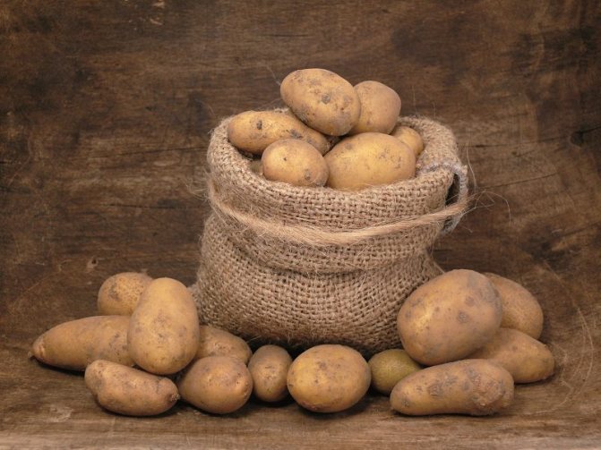 Как создать идеальную среду для хранения картофеля