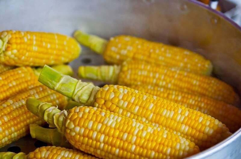 Как варить кукурузу так, чтоб