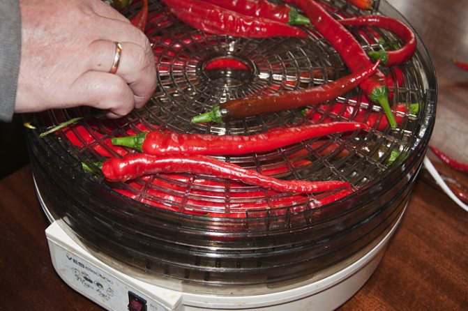 Как высушить красный острый перец в домашних условиях