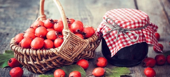 Как заготовить ягоды боярышника на зиму