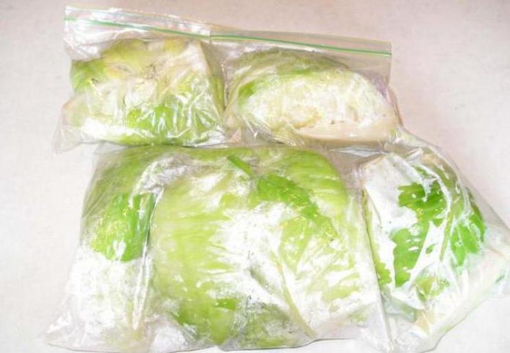 Как заморозить брюссельскую капусту на зиму в морозилке: правила замораживания в домашних условиях, сроки хранения, как разморозить продукт