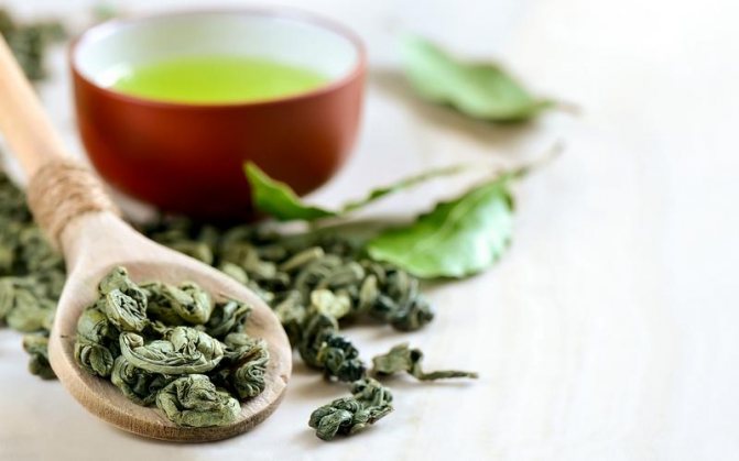 Когда лучше всего пить зеленый чай