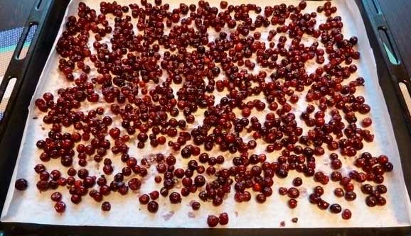 Лечебные свойства ягод брусники и противопоказания. Можно ли сохранить на зиму с пользой?
