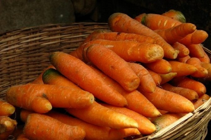 морковь в корзине