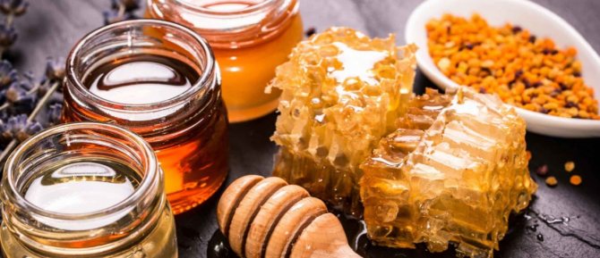 Можно ли хранить мед в холодильнике и как сохранить его питательные свойства