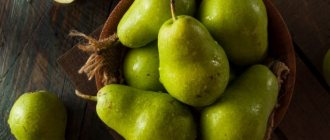 Is it possible to freeze pears for the winter at home: methods and rules for freezing