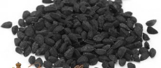 Про масло и семена черного тмина: польза и вред, как применять