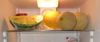 Сколько хранится разрезанная дыня в холодильнике и как сохранить её свежей подольше