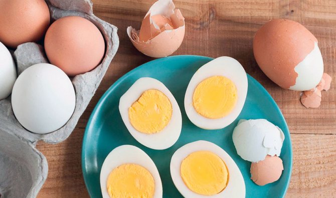 Сколько хранятся вареные яйца в холодильнике, без холодильника, при комнатной температуре, в скорлупе