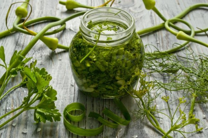 Garlic and dill sauce is a great way to preserve the taste and aroma of fresh herbs
