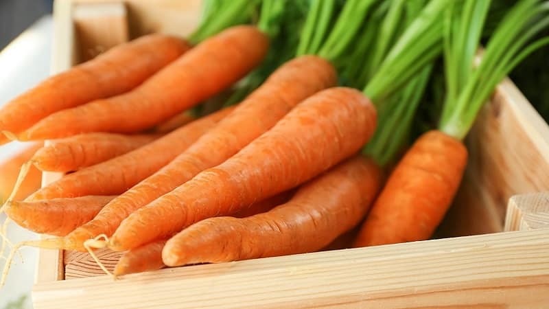 Способы хранения моркови на зиму в квартире