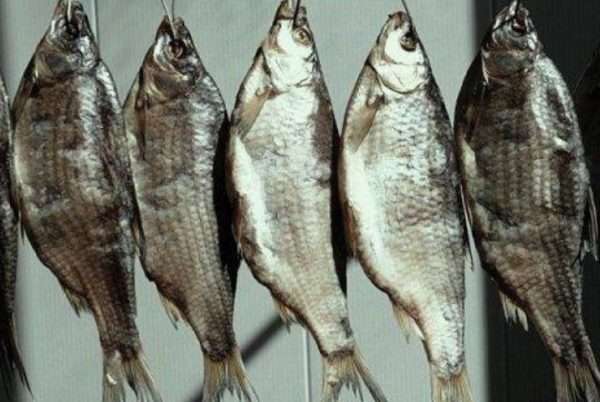 Срок годности сушеной рыбы