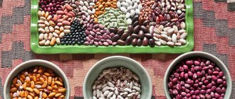 We dry beans of various varieties