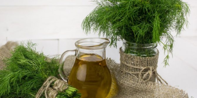 Fresh dill is perfectly stored in vegetable oil