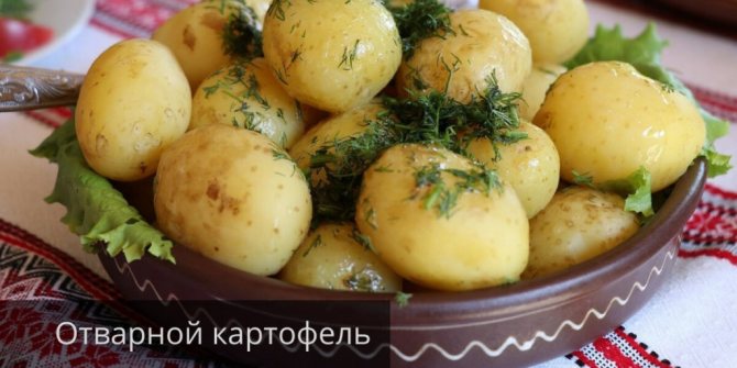 Вареная картошка при похудении