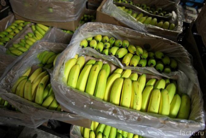 Ящик бананов