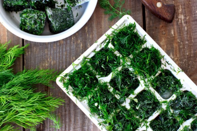freezing dill in ice cube trays is very convenient