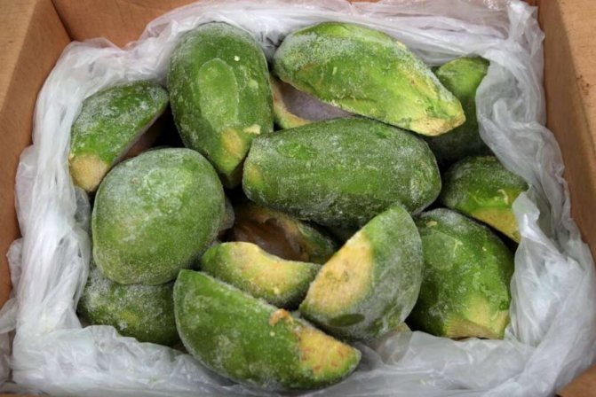 заморозить авокадо для хранения